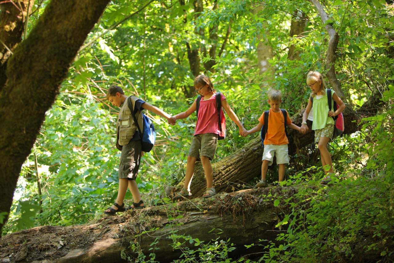 Aventurarte aplicará medidas sanitarias en los campamentos de verano en 2021