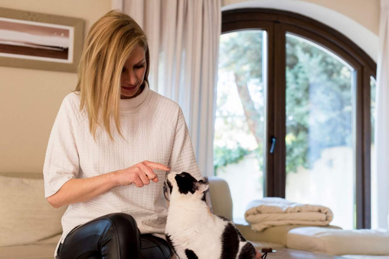 El método de la Encantadora de Gatos para educar a un gato o corregir la conducta o comportamientos indeseados