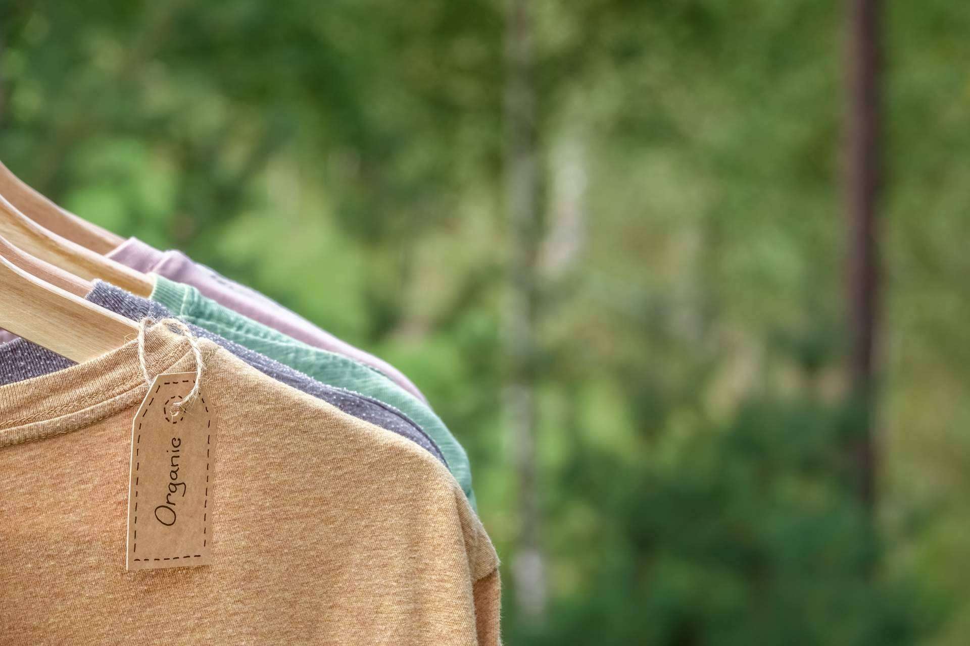 Who killed Bambi?: la oferta más amplia de marcas de ropa punteras en el mercado digital