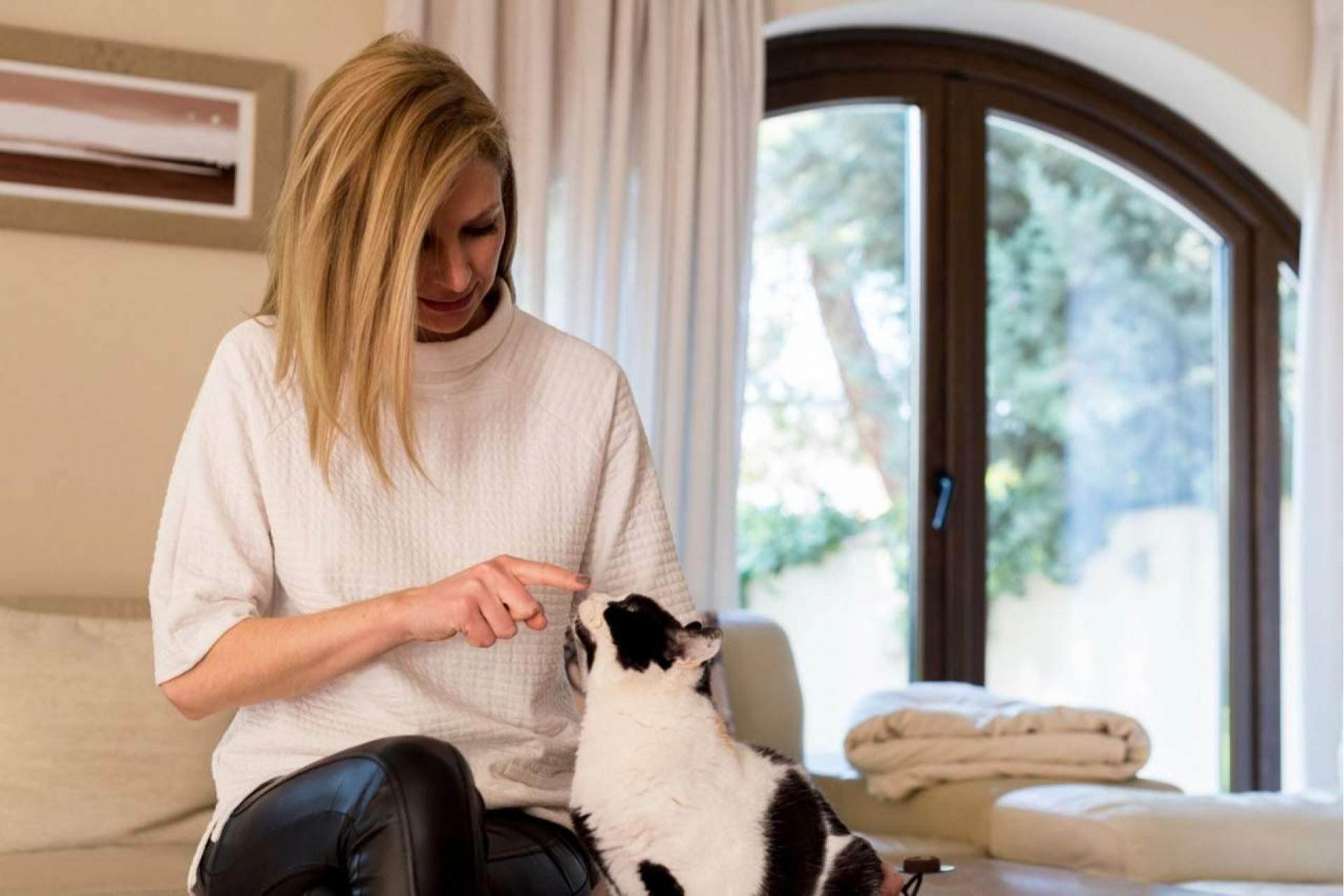 ¿Cómo educar a un gato para que no muerda? El método de la Encantadora de Gatos
