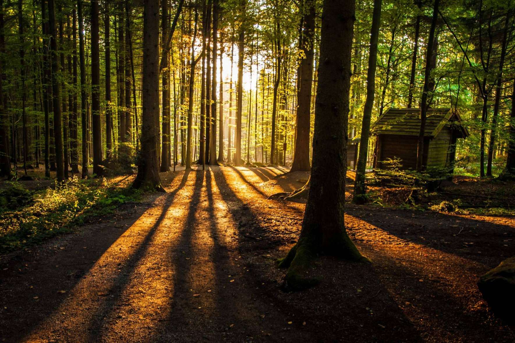¿Por qué elegir Aventurarte como las mejores instalaciones de campamentos de verano?