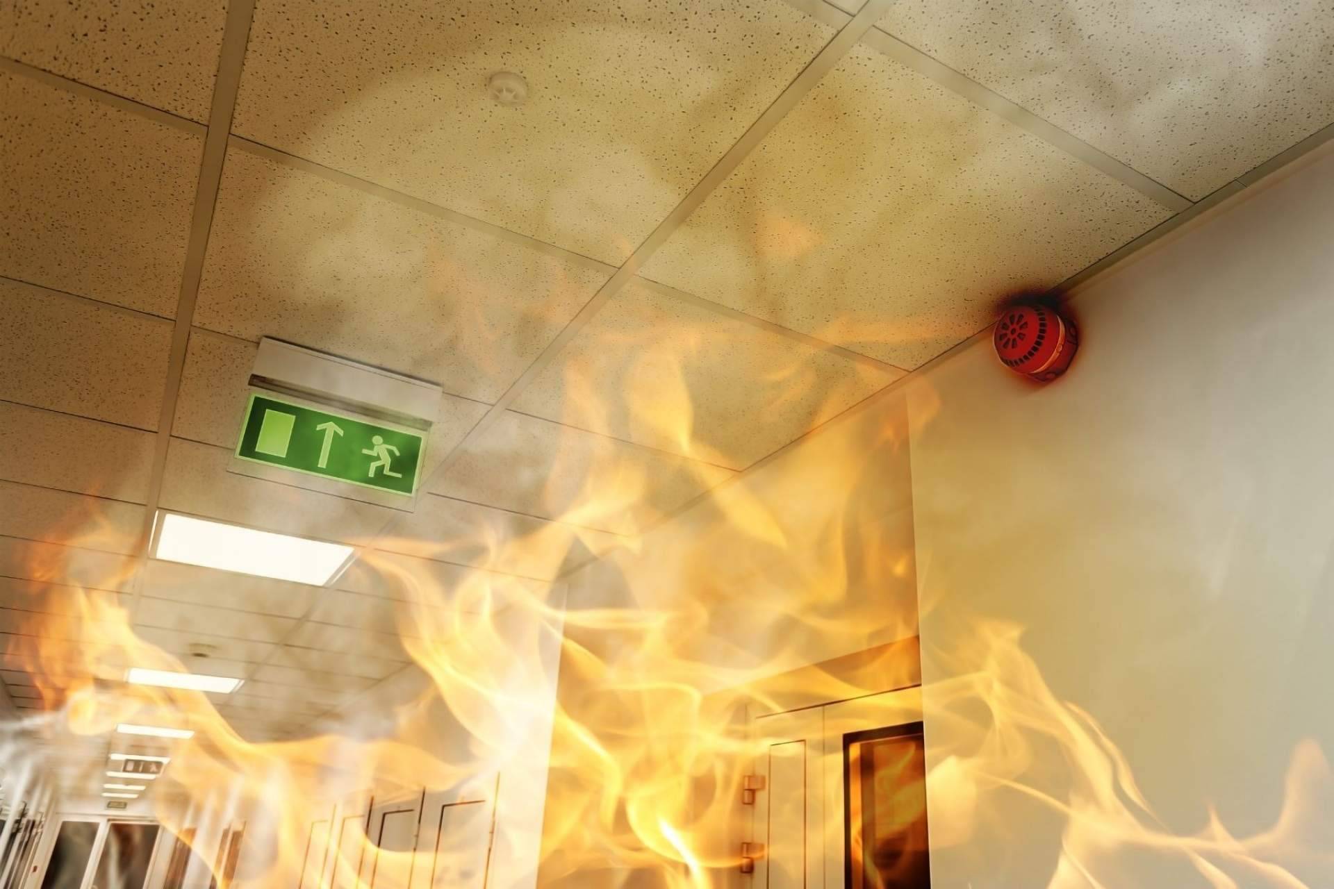 Nuevo modelo de franquicias con Proiex: la empresa revolucionaria del sector contra incendios