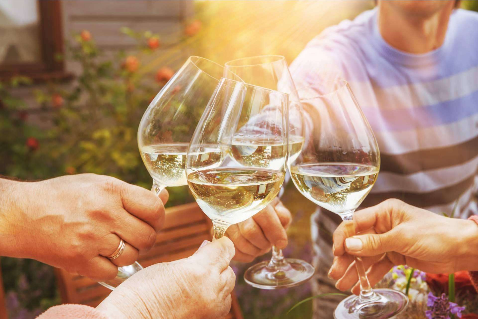 El arte de compartir el vino: De Gálvez presenta la colección de tendencias