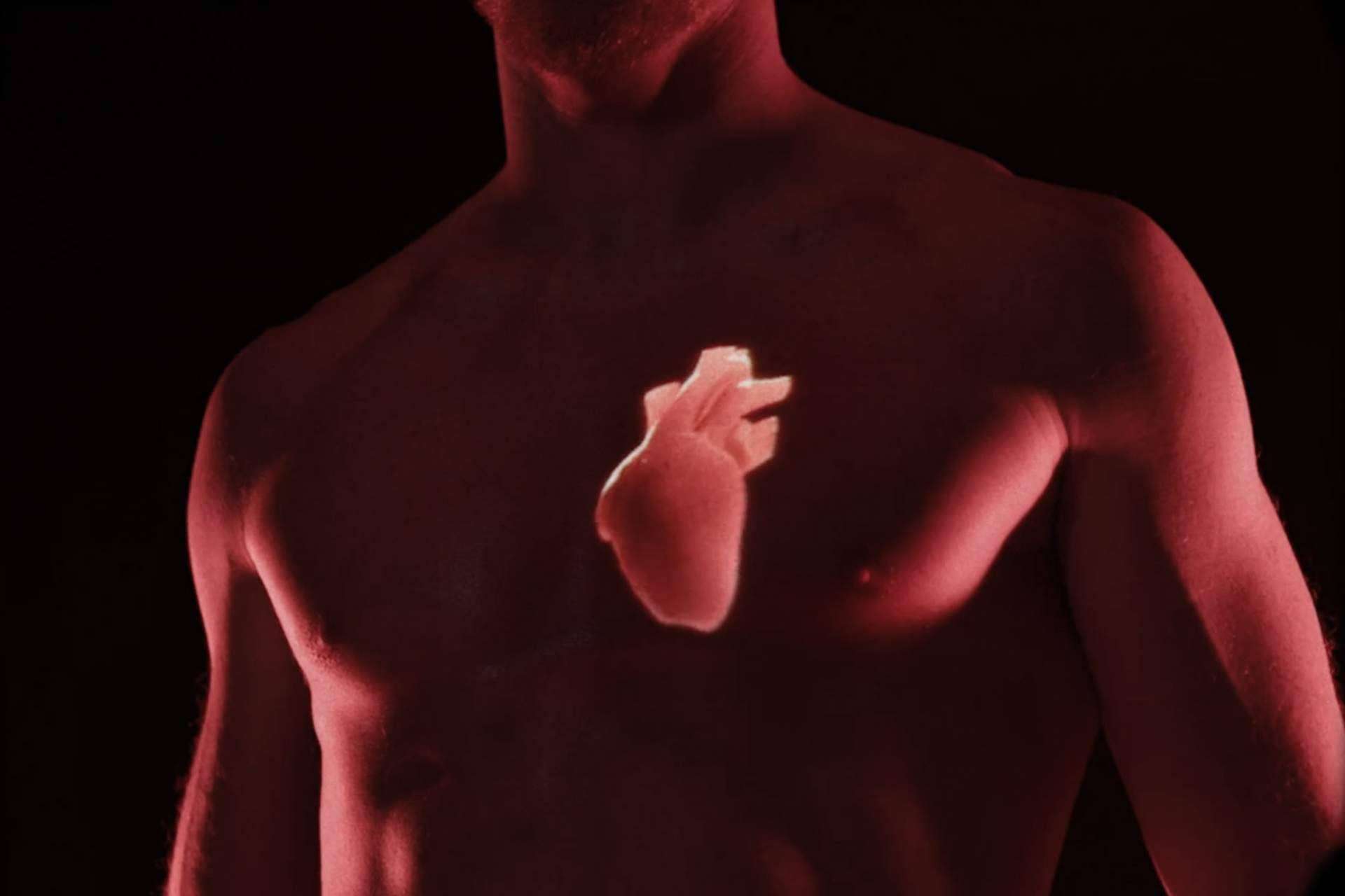 Experiencia Bach Care: lo que un corazón necesita