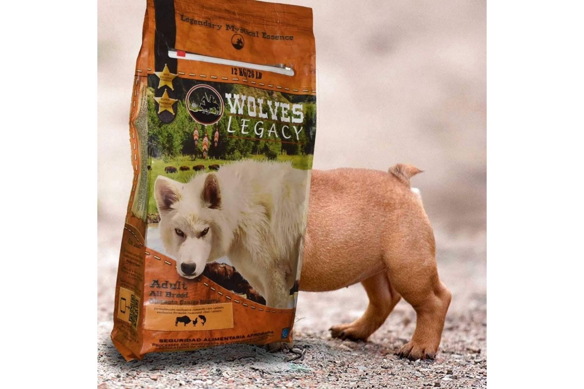 ¿Deberían ser variados los piensos para perros? Wolves Legacy