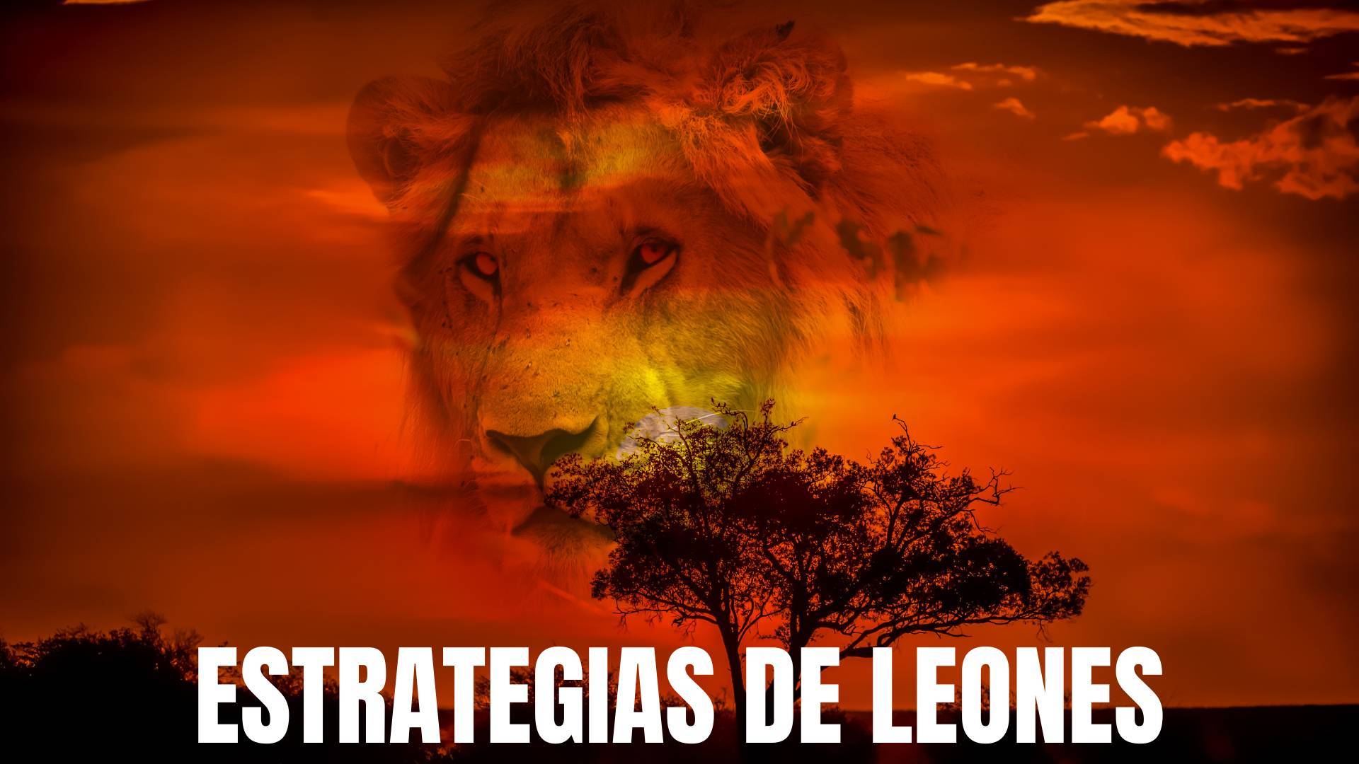 Javier Ramos, conocido como El León de Ventas, explica qué es un funnel de ventas y cuáles son sus Estrategias de Leones