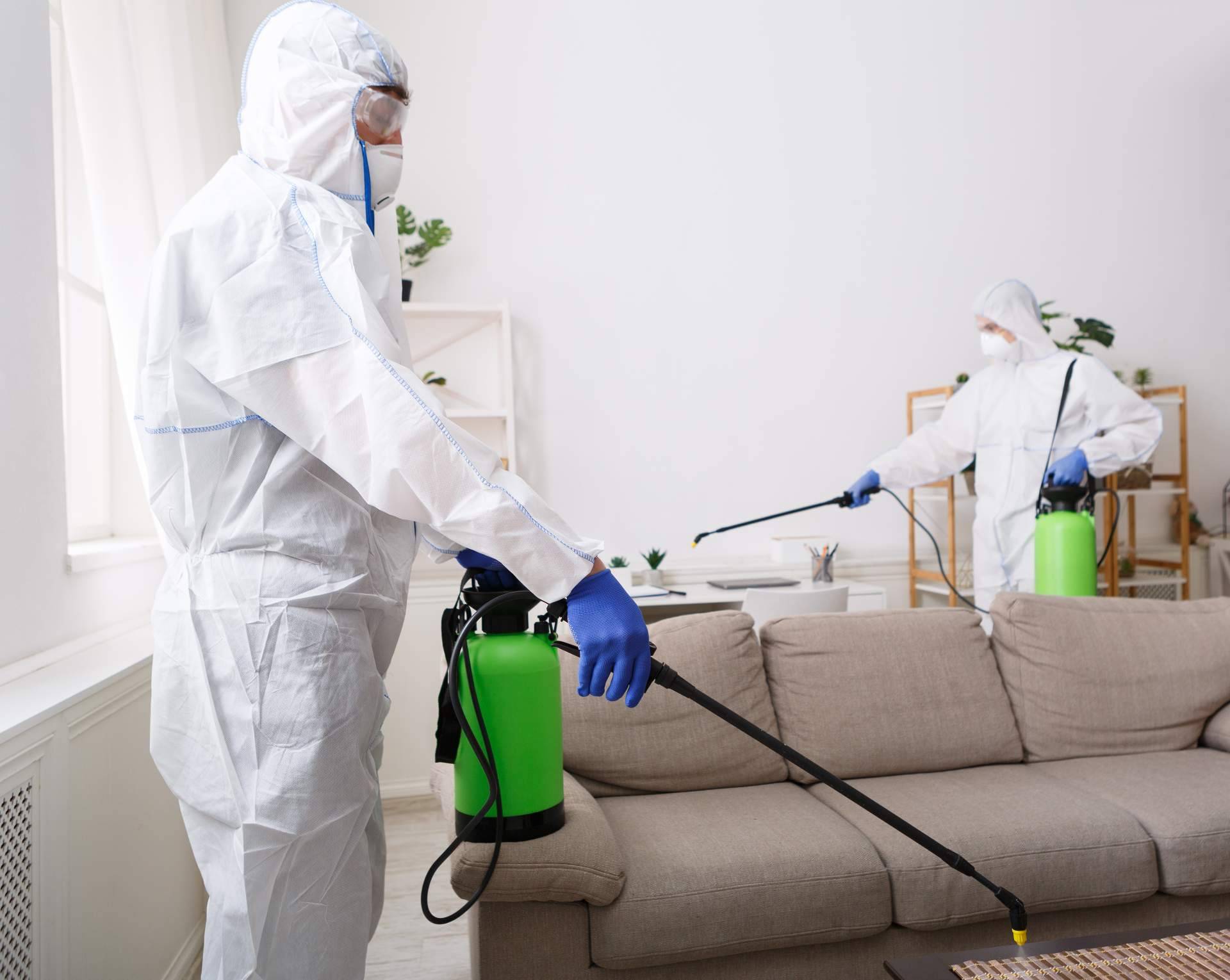 ¿Cuál ha sido el impacto de la pandemia en las empresas de desinfección y control de plagas? LEU Servicios