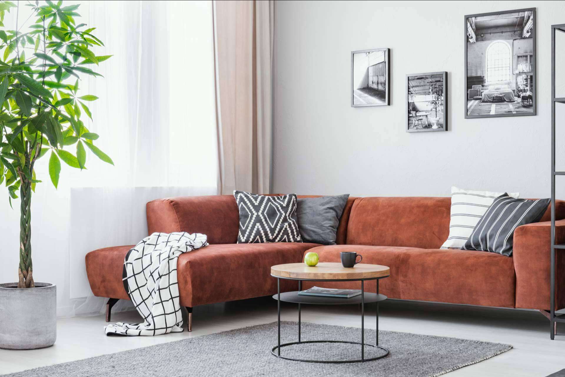 ¿Cómo decorar una sala polivalente?