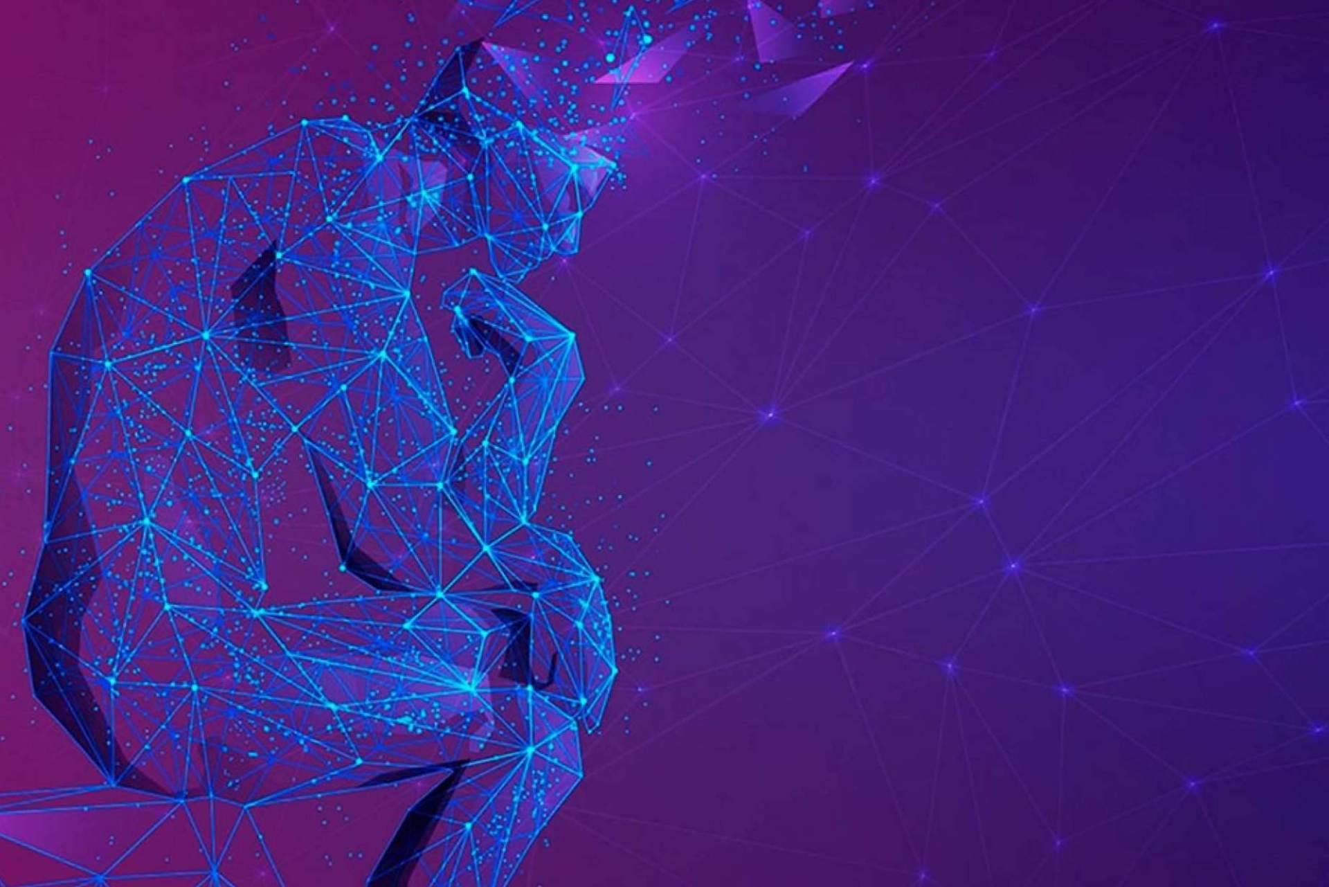 Plan de formación de inteligencia emocional desde el estudio científico de la Psicología, la Neurociencia y la Salud, por el Instituto Psicobiológico