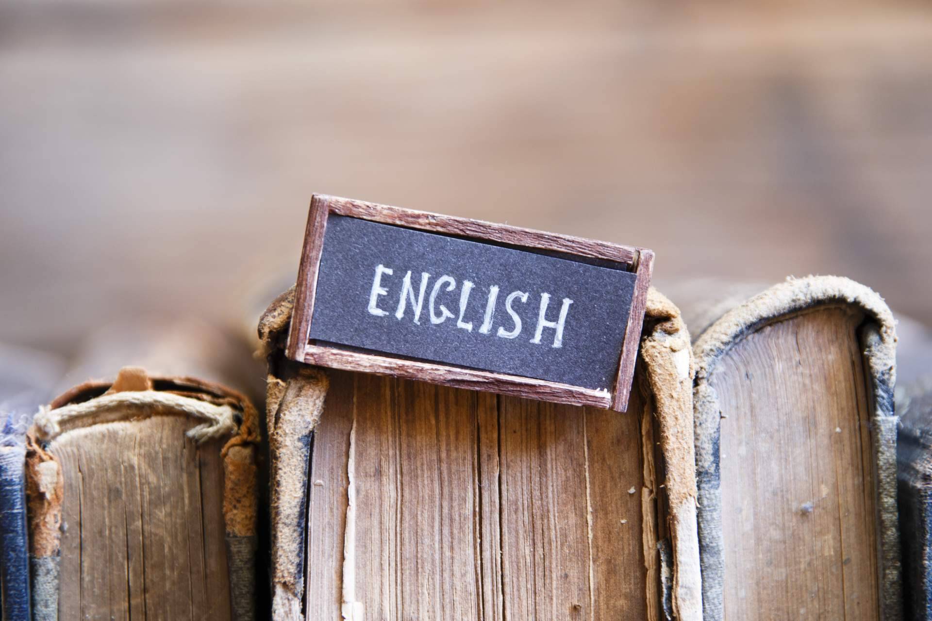 La academia de inglés Varona’s Institute dispone de programas de formación en el extranjero, titulaciones oficiales y cursos diseñados según la edad del estudiante