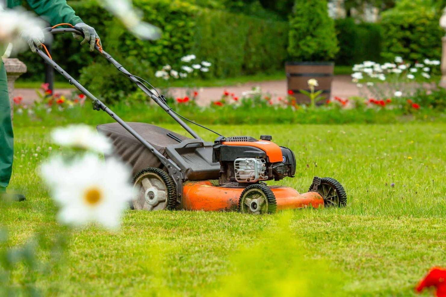 Realizar el mantenimiento integral de jardines y parques de empresas con Grupo Sileb