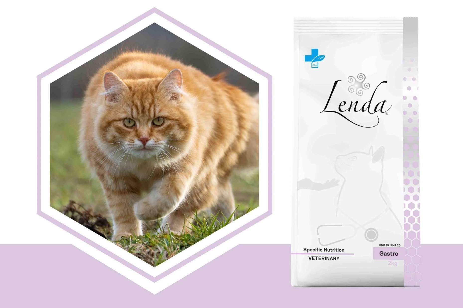 Lenda VET Nature cuenta con dietas veterinarias naturales para cuidar la salud de las mascotas