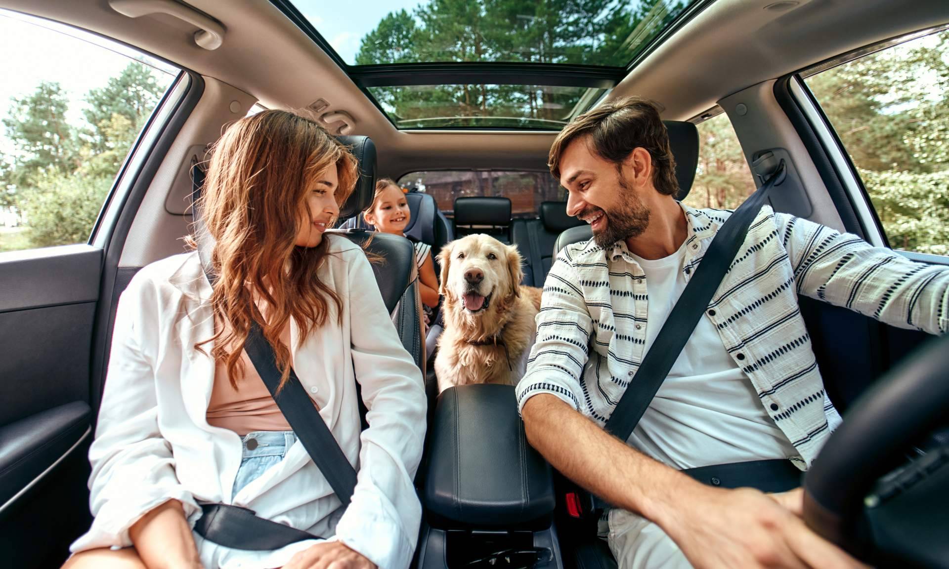 La importancia de contar con un seguro de viaje para mascotas, por Coverontrip